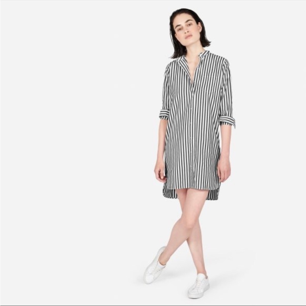 Everlane Black and White Striped Shirt Dress - Picture 2 of 8